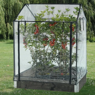 Tall Greenhouse (110/130 x 115 x 76 cm), a roomy greenhouse designed to provide optimal growing conditions and space for your pl
