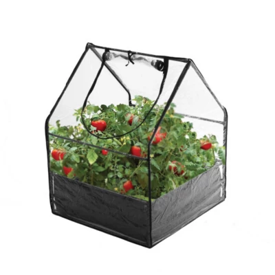 Mini Greenhouse (85 x 65 x 65 cm), a compact greenhouse designed to offer optimal growing conditions for plants in smaller space