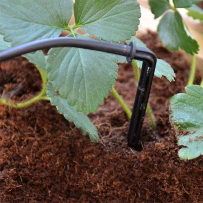 Canopia drip irrigation kit with hose, droppers, filter and connectors for greenhouses