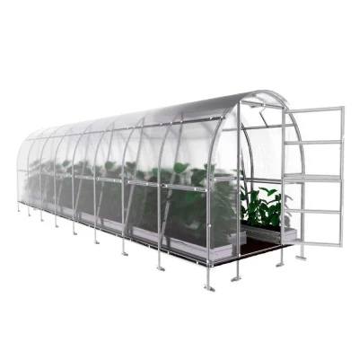 Baumera KLASIKA Slim Greenhouse 2 m Wide Baumera KLASIKA Slim greenhouse with galvanised steel frame and polycarbonate glazing