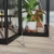 Triomphe 13×15 ft. Greenhouse by Canopia with black frame and clear acrylic walls