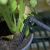 Canopia drip irrigation kit with hose, droppers, filter and connectors for greenhouses
