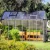 Canopia Glory 8×12 ft. greenhouse with grey aluminium frame and twin-wall polycarbonate panels, shown on white background
