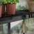 Canopia Signature Greenhouse Shelf – Pack of 2, fits most Canopia models, polypropylene with drainage