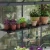 Canopia Signature Greenhouse Shelf – Pack of 2, fits most Canopia models, polypropylene with drainage
