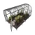 Baumera Baltic LT arched greenhouse with galvanised omega frame and polycarbonate glazing