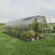 Baumera Baltic LT arched greenhouse with galvanised omega frame and polycarbonate glazing
