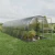 Baumera Baltic LT arched greenhouse with galvanised omega frame and polycarbonate glazing