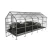 Baumera KLASIKA Bernard greenhouse with galvanised steel frame and twin-wall polycarbonate panels