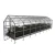 KLASIKA Bernard Greenhouse 2,35 x 8 m (18,8 m2)