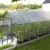 Baumera KLASIKA House greenhouse with pitched galvanised frame and 6 mm polycarbonate panels