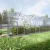 Baumera STANDART Klasika greenhouse with galvanised steel frame and polycarbonate panels