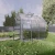 Baumera STANDART Klasika greenhouse with galvanised steel frame and polycarbonate panels
