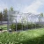 Baumera STANDART Klasika greenhouse with galvanised steel frame and polycarbonate panels
